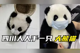 四川人民到了18岁真的人手一只大熊猫吗？