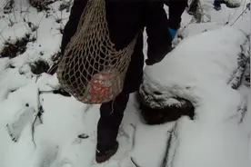 GOPR2279 野人寻虎队考察资料，2011年大巴山华南虎，陕西镇坪