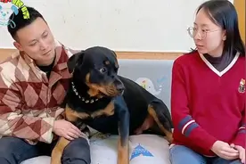 女主想抱狗狗，狗狗内心不愿意它只爱男主，迫于女主压力狗狗服从视频封面