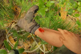 绿色地狱VR：到亚马逊丛林度假不小心摔伤了手脚！