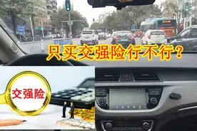 只买交强险行不行？老司机给你算一笔账就知道了，还敢开车上路吗视频封面