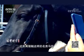 女骑手艳羡别人名马 试骑摔成多处骨折 起诉马主索要20万视频封面