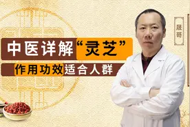 中医详解“灵芝”，作用功效及适合人群