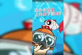 科普：鱼的沉浮，是不是靠鱼鳔控制的呢？