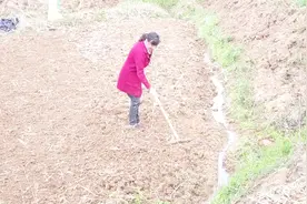 远嫁好吗？湖南大妈远嫁河南30年，她后悔吗？听她咋说的