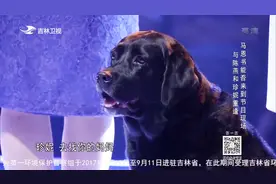 九岁的导盲犬珍妮寻第一任主人，时隔六年多，它还认得出主人吗？视频封面