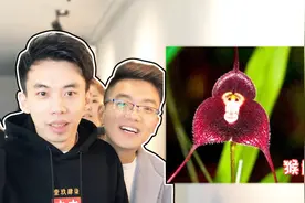 办公室大乱逗：看图猜花名，这世上居然还有叫马桶的花，好奇葩