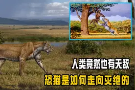 人类到底有没有天敌？几百万年前有过，但没熬过来就已经灭绝了视频封面