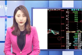 视觉中国遭整改又关停！股价直接一字跌停，3.4万股民无眠！