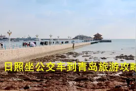 日照去青岛乘公交车旅游，全程公交车换乘攻略视频封面