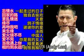 刘德华经典歌曲精选20首联唱