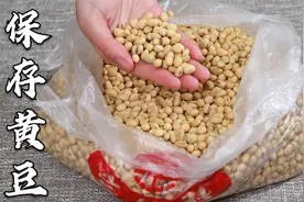 黄豆容易长虫发霉，干货店老板教我的保存方法，放一年都不会坏