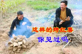 农村兄弟俩地里挖红薯现场烤着吃，火堆里一出来，哈哈别笑！视频封面