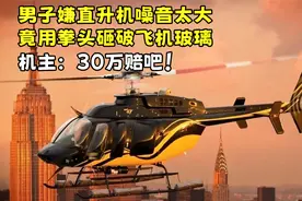 男子愤怒竟用拳砸破飞机玻璃，结果被索赔30多万，机主：冲动了吧视频封面