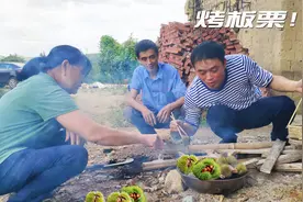 带刺的新鲜板栗这样做着吃，纯香粉糯，在城市有钱都买不到
