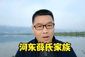 河东望族之薛氏家族的起源，薛仁贵并不是最厉害的！