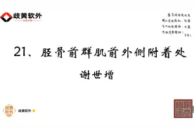 压痛点密集型银质针治疗方法：21、胫骨前群肌前外侧附着处