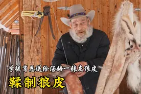 山地硬汉：老汤姆鞣制灰狼皮草的全过程