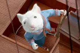 会“开帆船”的老鼠，瞬间打败一群人类，拿了冠军，一部喜剧电影