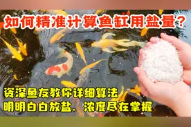 如何精准计算鱼缸用盐量？资深鱼友教你详细算法，浓度尽在掌握视频封面