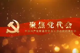 王清源参加区第二次党代会分组讨论视频封面