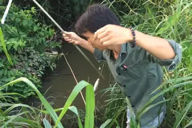 真过瘾！小野河里的小麦穗真的多，一竿又一竿的上 爽