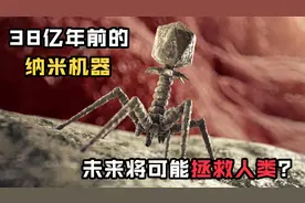 诞生于38亿年前的纳米机器人?揭秘地球上最强大的病毒“噬菌体”