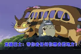 龙猫巴士：带你去任何你想去的地方！3【转载】视频封面