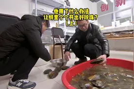 他用了什么办法，让蚌里个个开出了好珍珠？(上)视频封面