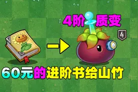 60元买的进阶书给聚能山竹！4阶山竹质变，竞速神器！