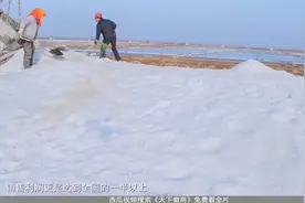 淮盐占全国盐利润50%以上，山陕商人出尽风头，化解粮食危机视频封面