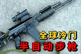 盘点全球5款少见冷门半自动步枪，看你认识几款？