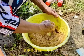 纵横黑坑多年的大师开拉丝冷冻饵，专攻大罗非的饵料，全过程展示视频封面