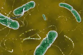 幽门螺旋杆菌有哪些检测方法？要多少钱？医生告诉你视频封面