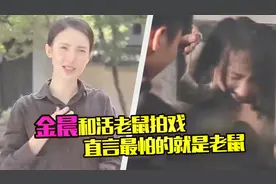 好敬业！金晨拍戏遭活老鼠亲脸，满脸害怕还调侃老鼠挣扎像电风扇视频封面