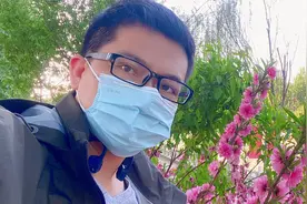 柳絮是柳树的种子还是柳树的花#柳絮#柳絮危害#什么是柳絮