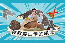跟恐龙同闯过江湖？甲片功效超神？这个极危物种需要保护！