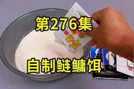 野钓鲢鳙饵料制作方法，简单省钱又好用，原来这么简单视频封面