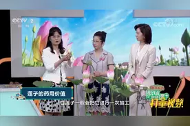 莲子有哪些药用价值？它具有补益脾肾和养心安神功效|职场健康课视频封面