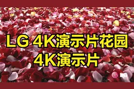 LG 4K演示片花园 4K演示片