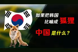 如果把各国比喻成动物，韩国是狐狸，中国是什么？视频封面