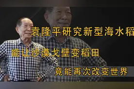 袁隆平研究新型海水稻，能让沙漠戈壁变稻田，竟能再次改变世界！