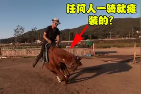 马儿得了一种怪病，任何人一骑它就瘫软倒地，兽医却说它是装的！