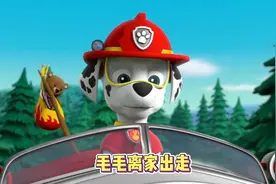 汪汪队立大功：毛毛竟然离家出走了视频封面