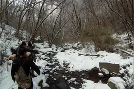 GOPR2350 野人寻虎队考察资料，2011年大巴山华南虎，陕西镇坪