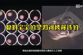 揭秘试管婴儿是如何完成对胚胎基因筛选的，比自然怀孕宝宝还聪明视频封面