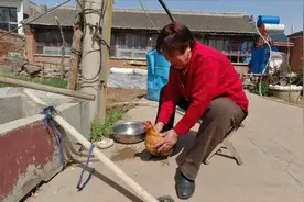 看农村奶奶是如何在白天让鸡睡一整天觉的？这操作真牛，长见识了