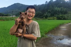 小陈到广西最大狗市挑狗，精品虎斑被哄抢，没想到山牛红更漂亮！