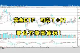 黄金ETF是T+0？那也不能随便玩！视频封面