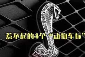 开车遇到这4种“动物车标”，有多远躲多远，不是你惹得起的车！